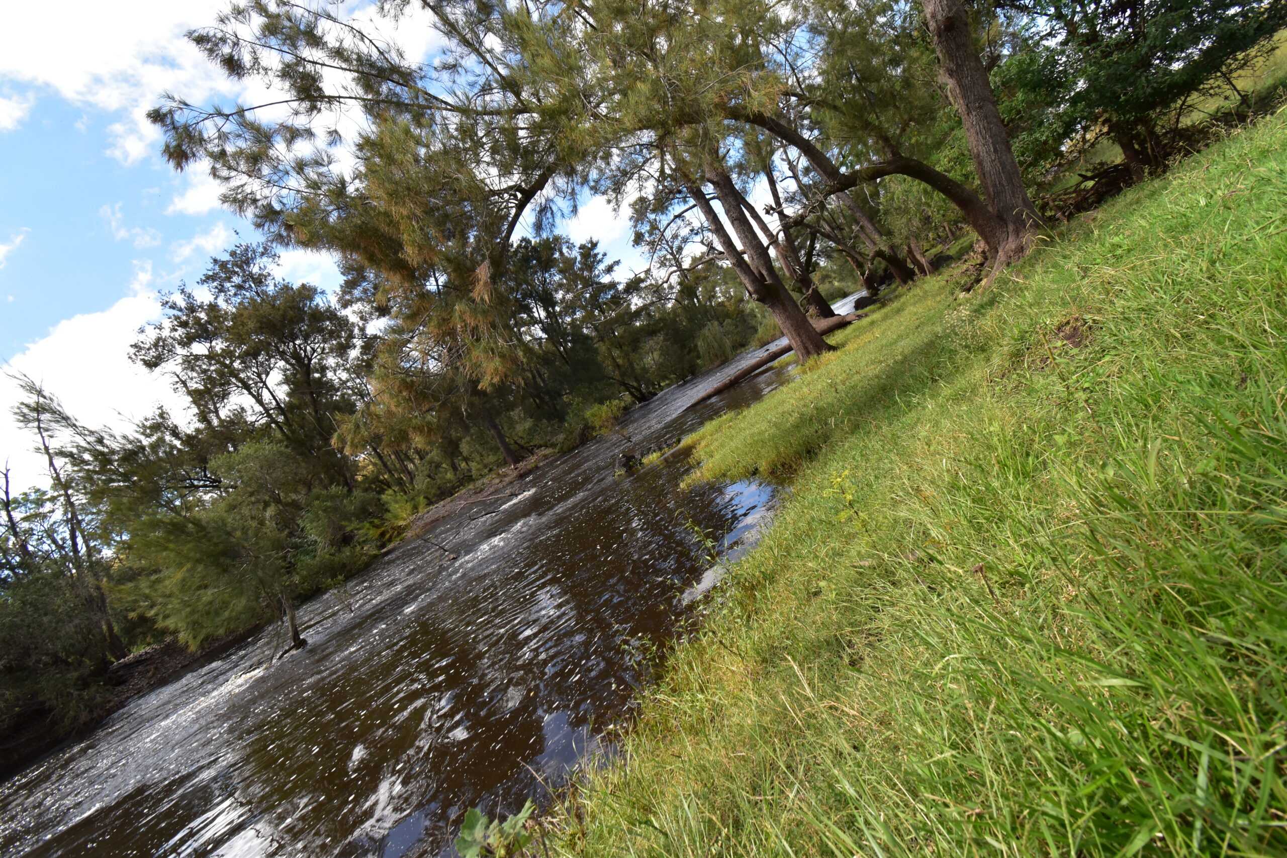 river-camping Fernlee Station