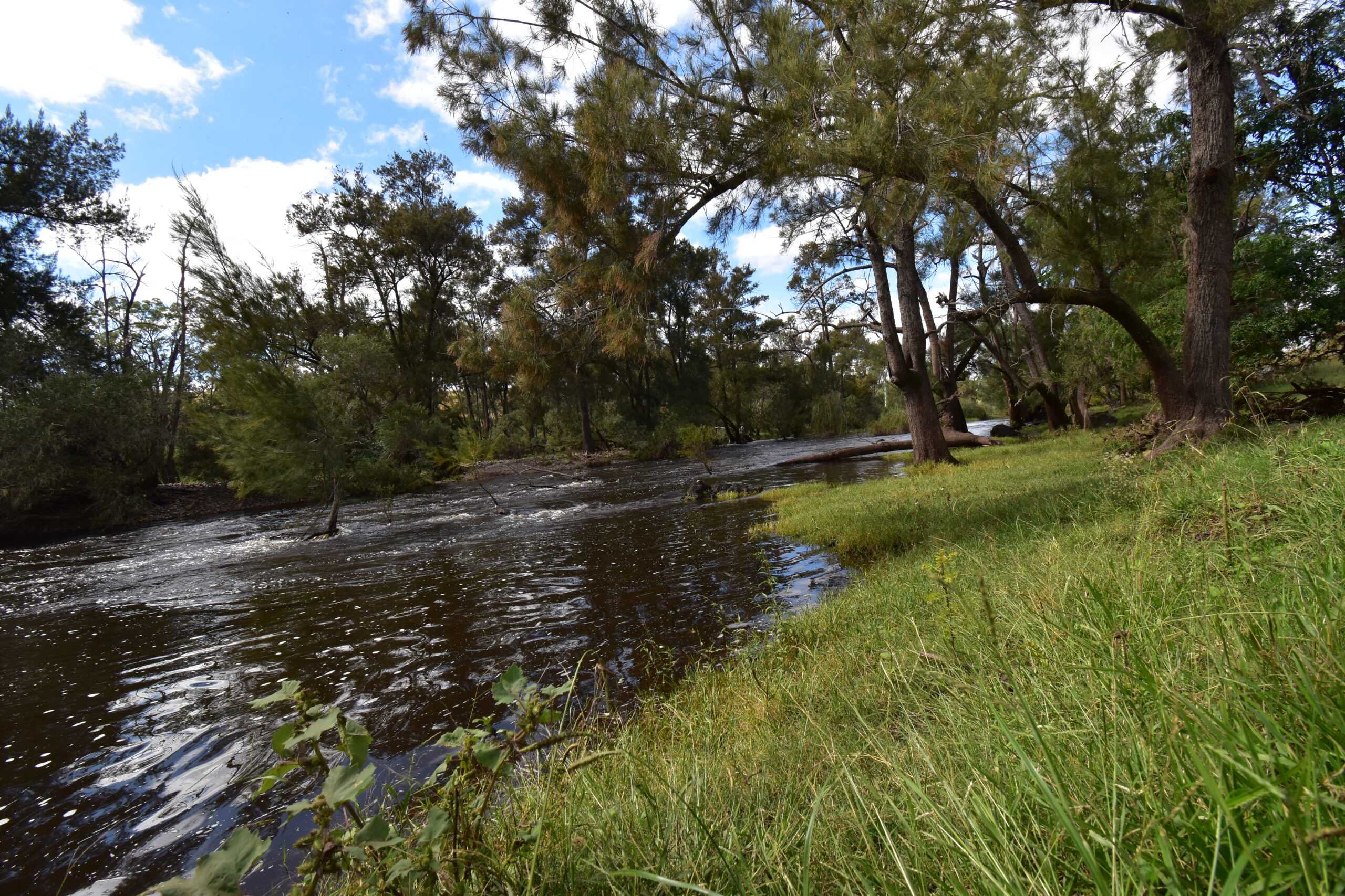 river-camping Fernlee Station