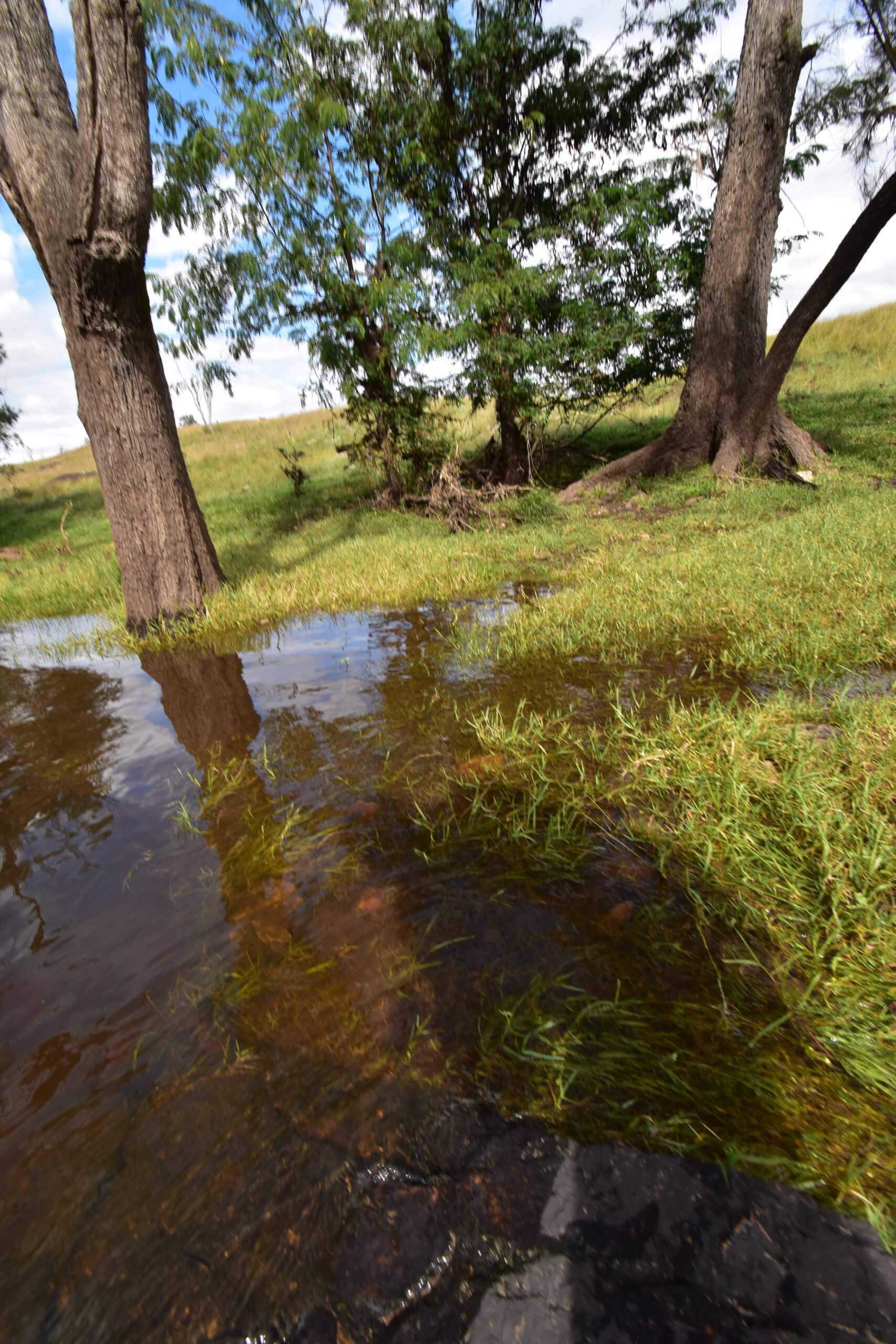 river-camping Fernlee Station