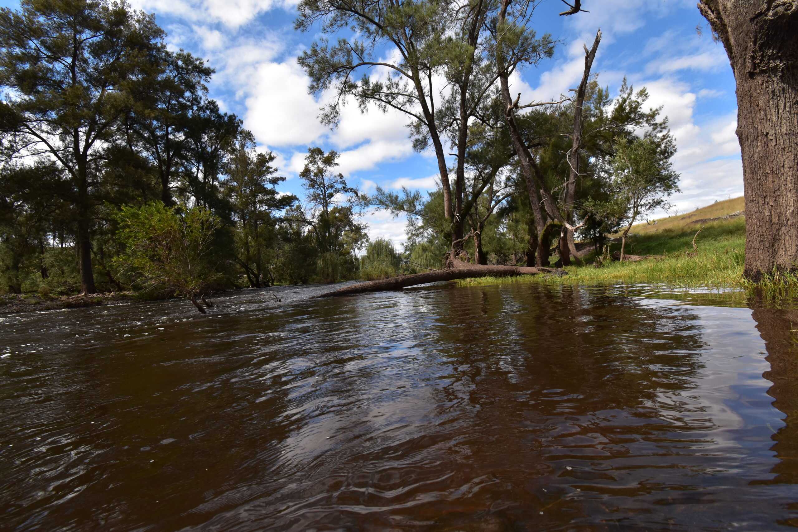 river-camping Fernlee Station