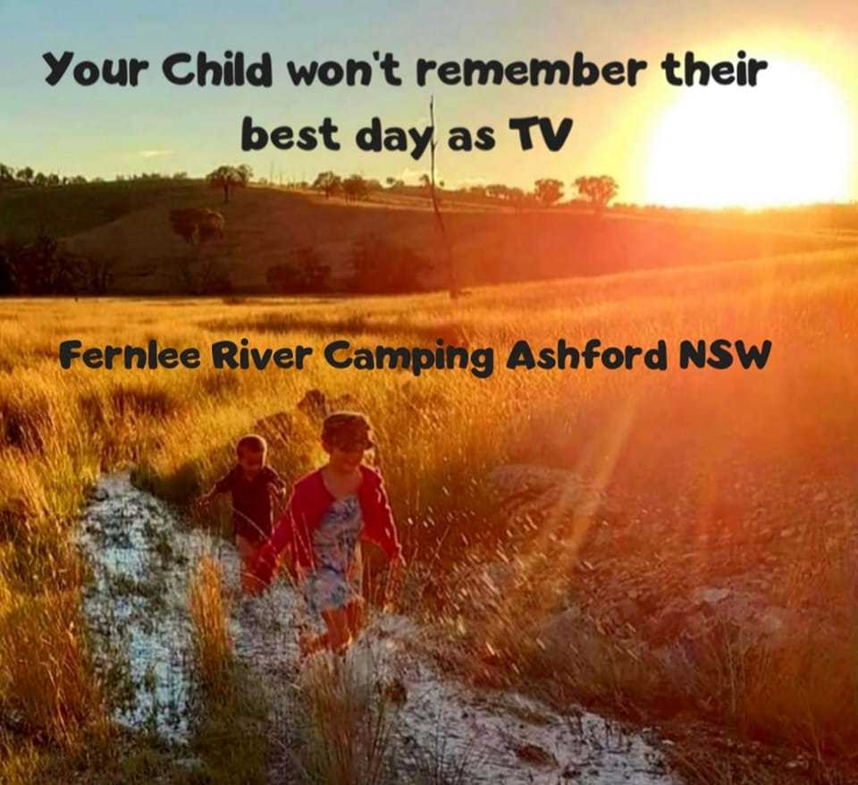 fernlee-river-camping